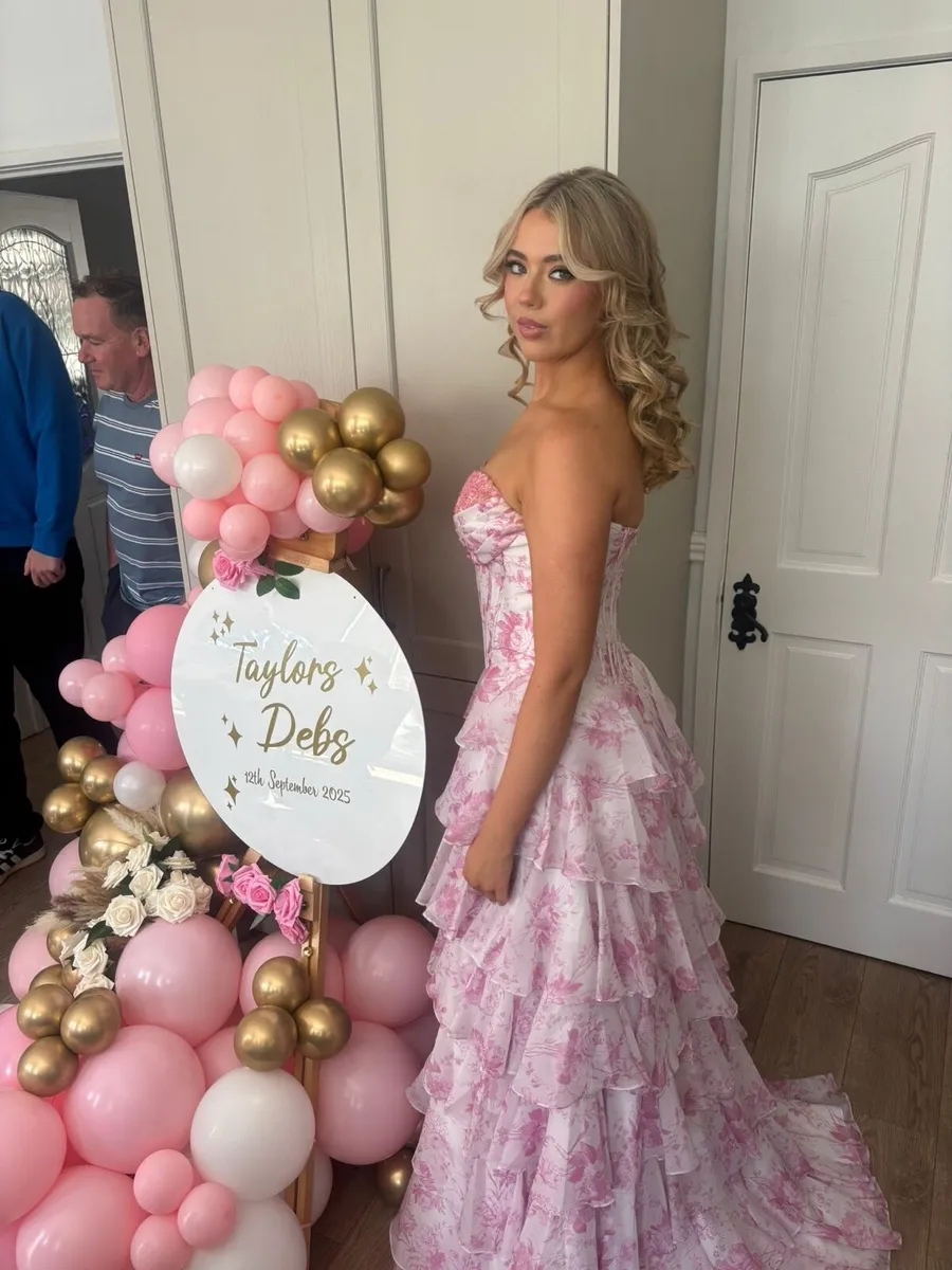 Dani’s Closet Debs dress (worn once) - Image 1