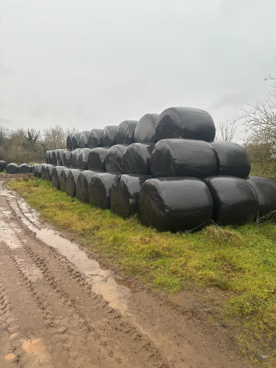 Round bale silage and hat - Image 1