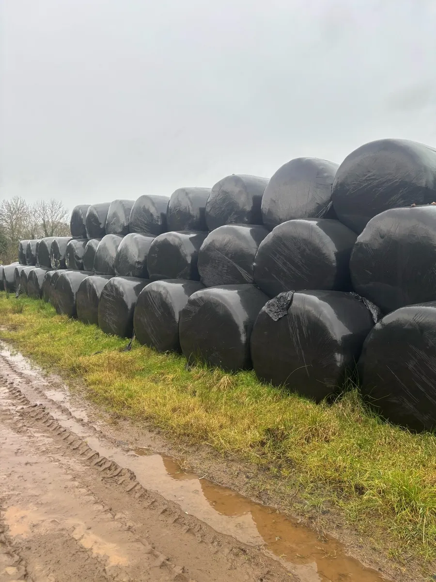 Round bale silage and hat - Image 2