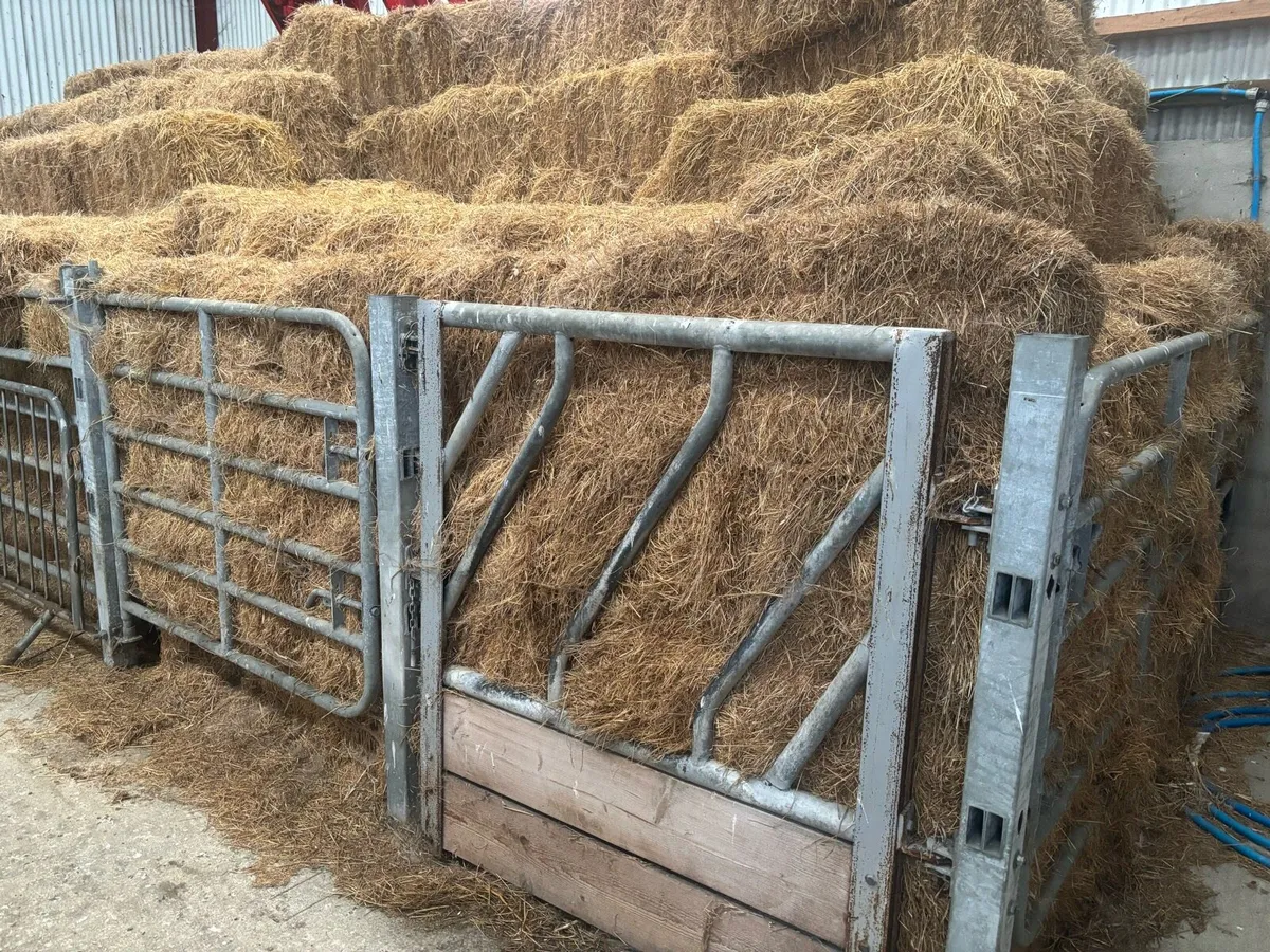 Round bale silage and hat - Image 3