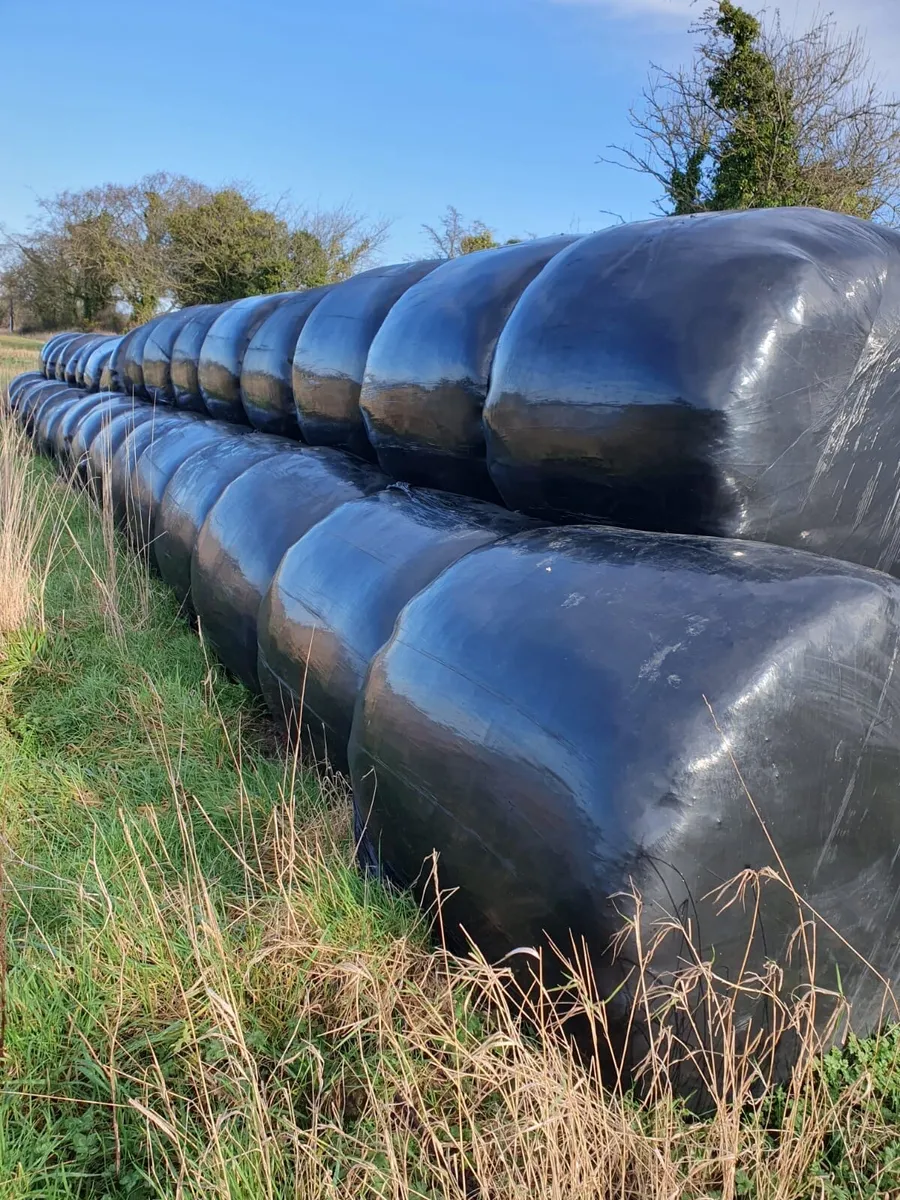 Silage bales - Image 1