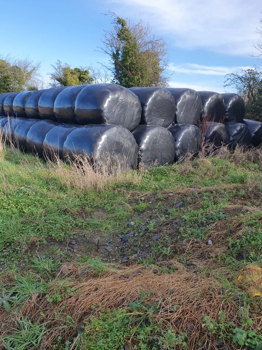Silage bales - Image 2