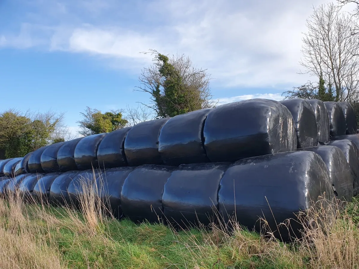 Silage bales - Image 3