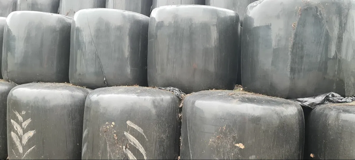 Bales for sale. Still some available 16th march