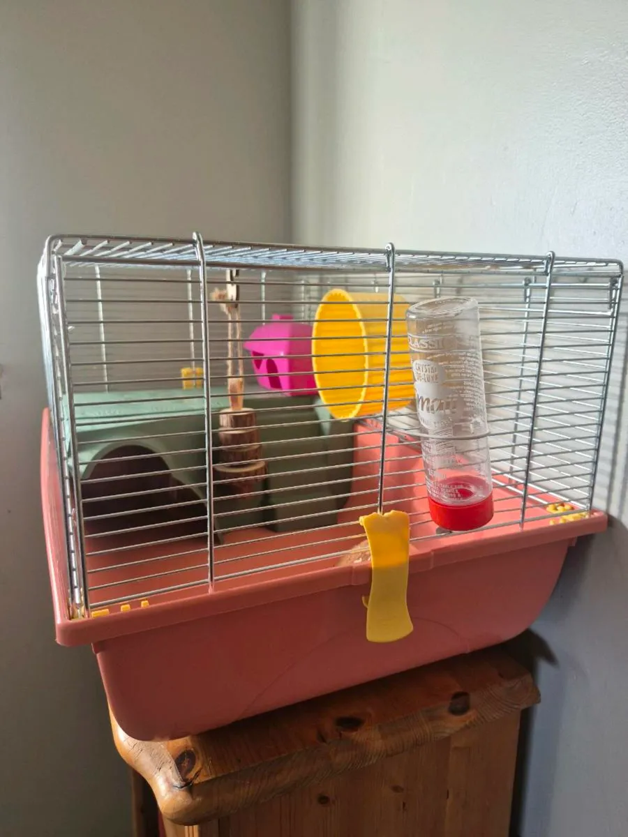 Hamster Cage - Image 2