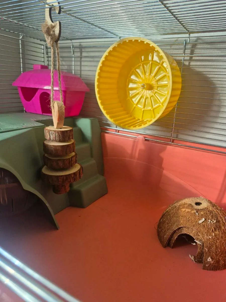 Hamster Cage - Image 3