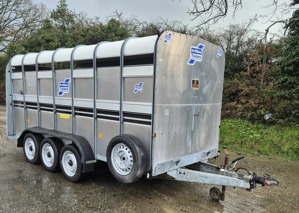 Ifor Williams 14 x 6  cattle trailer - Image 1