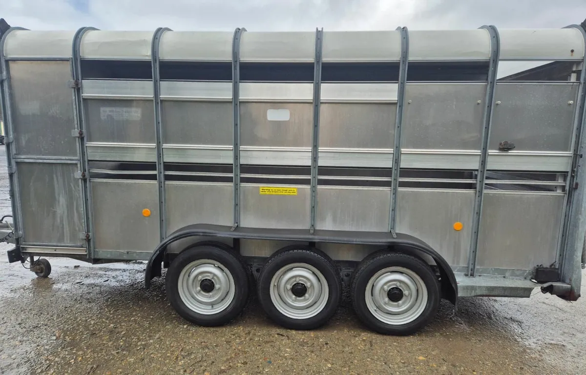 Ifor Williams 14 x 6  cattle trailer - Image 4