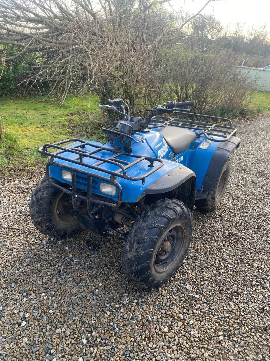 Honda TRX300 4x4 - Image 2