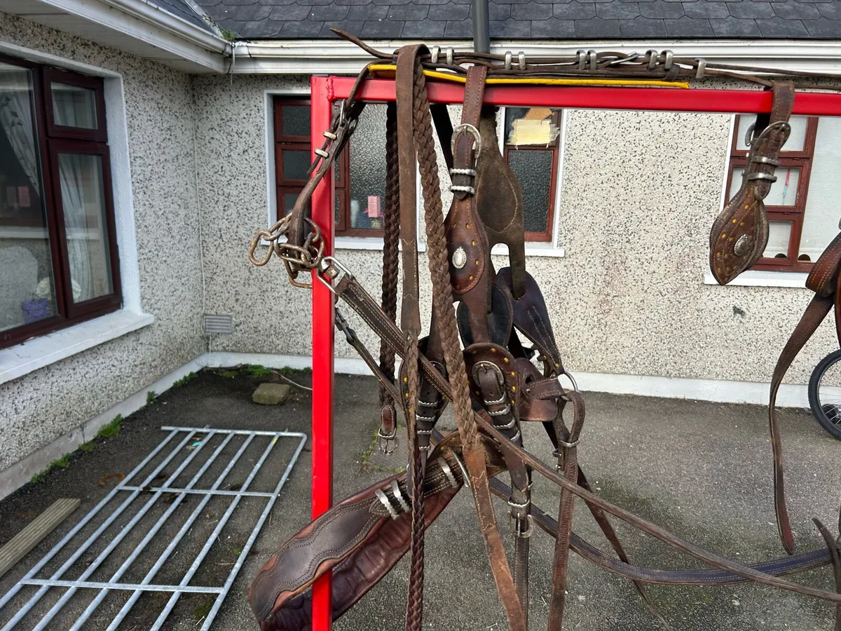 Old English harness - Image 1