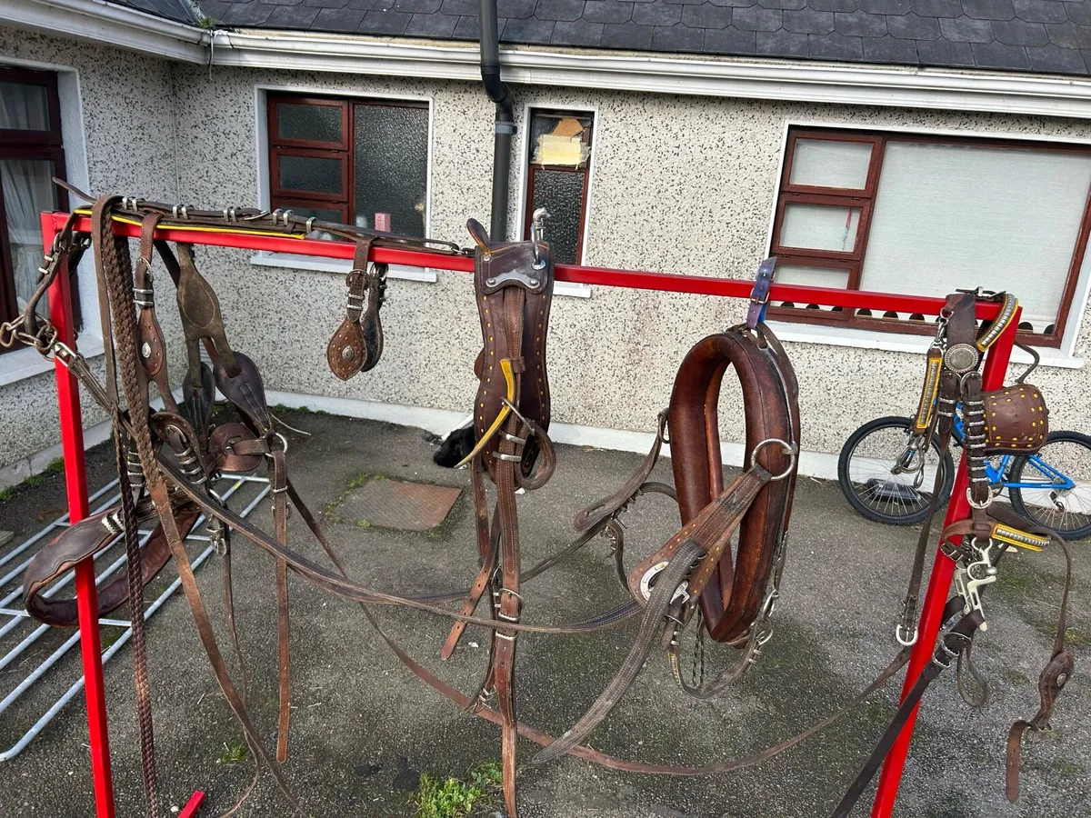 Old English harness - Image 2