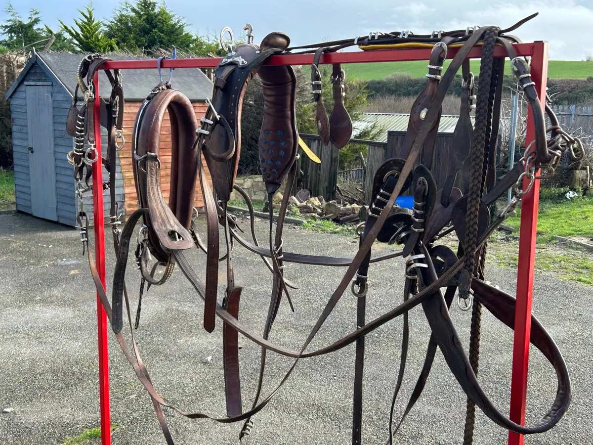 Old English harness - Image 3