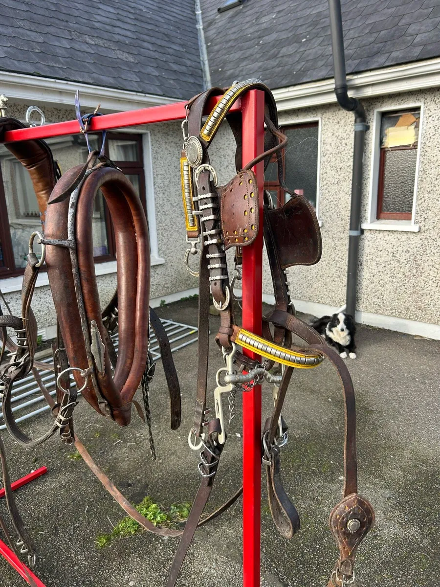 Old English harness - Image 4