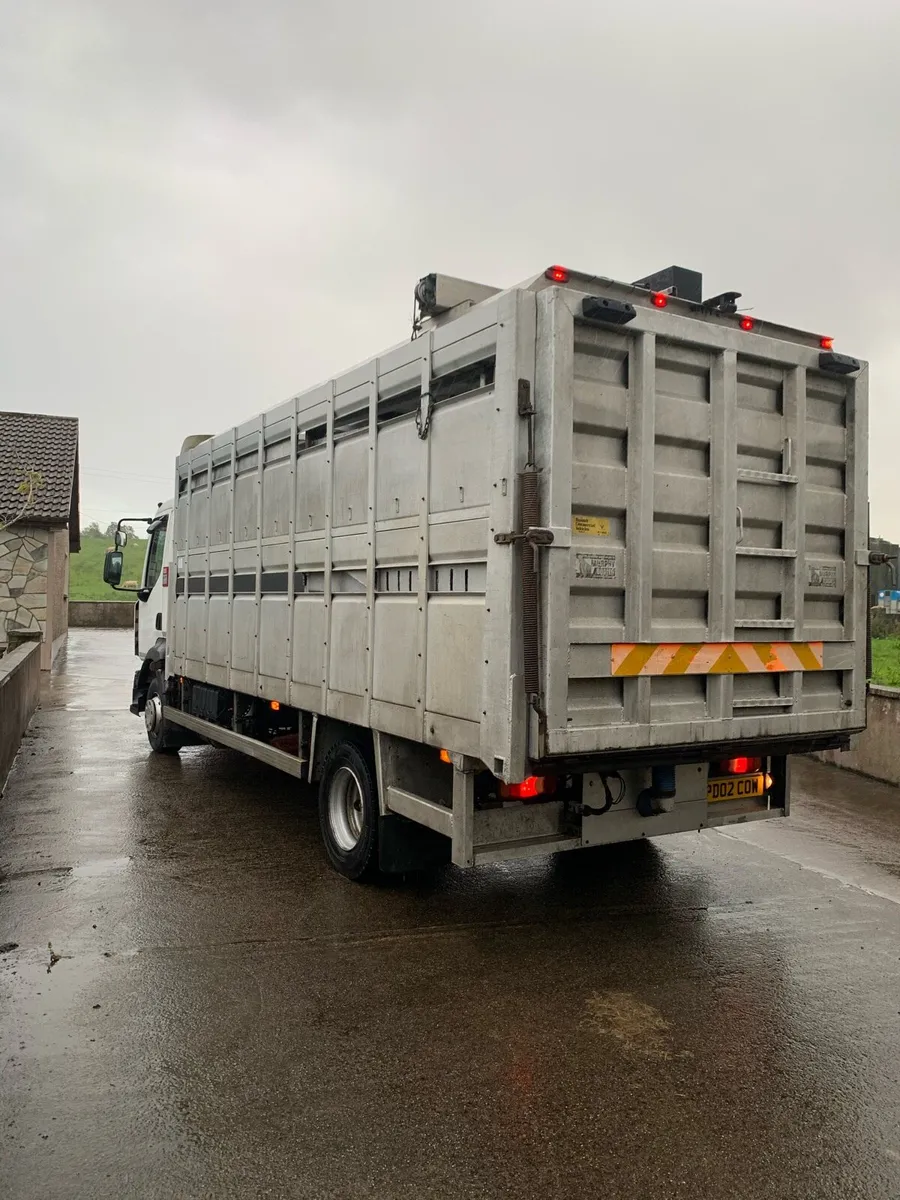 Renault livestock lorry - Image 3