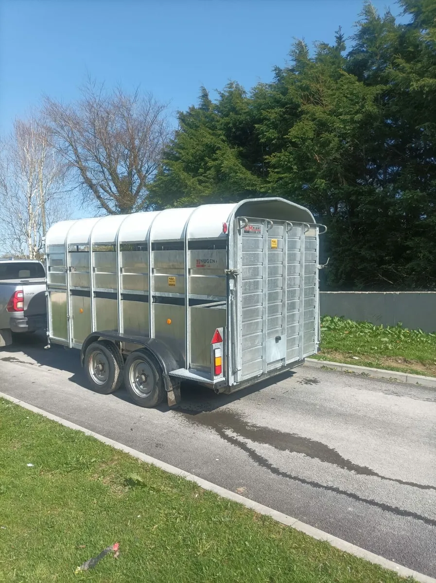 Nugent 12x6 - Image 1