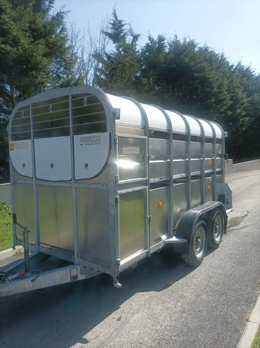 Nugent 12x6 - Image 2