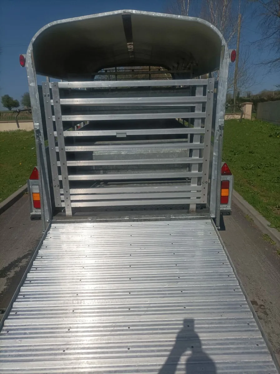 Nugent 12x6 - Image 3