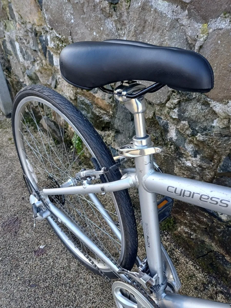 Fully Refurbished Giant Cypress - Image 3