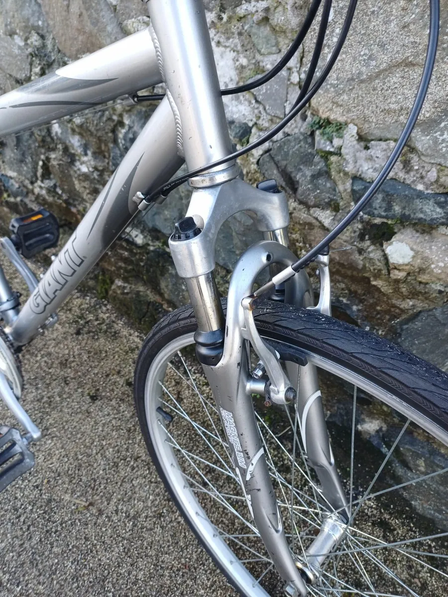 Fully Refurbished Giant Cypress - Image 4