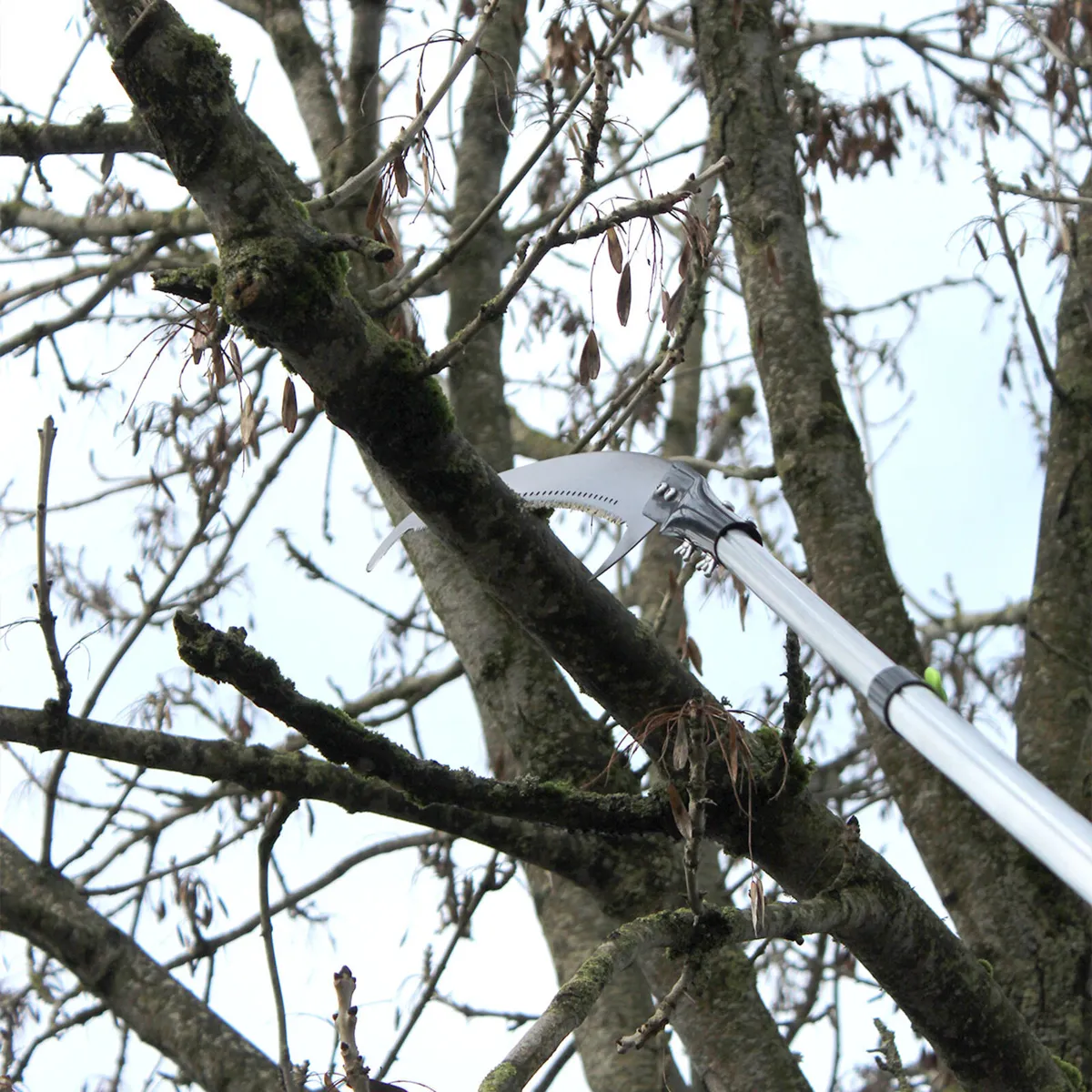 Piranha 3.1m Telescopic Pole Saw - Image 1