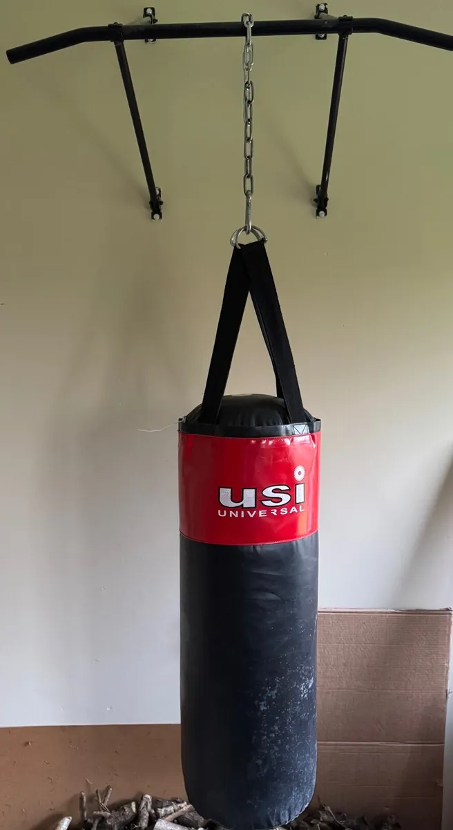 Punch bag and hanging bar