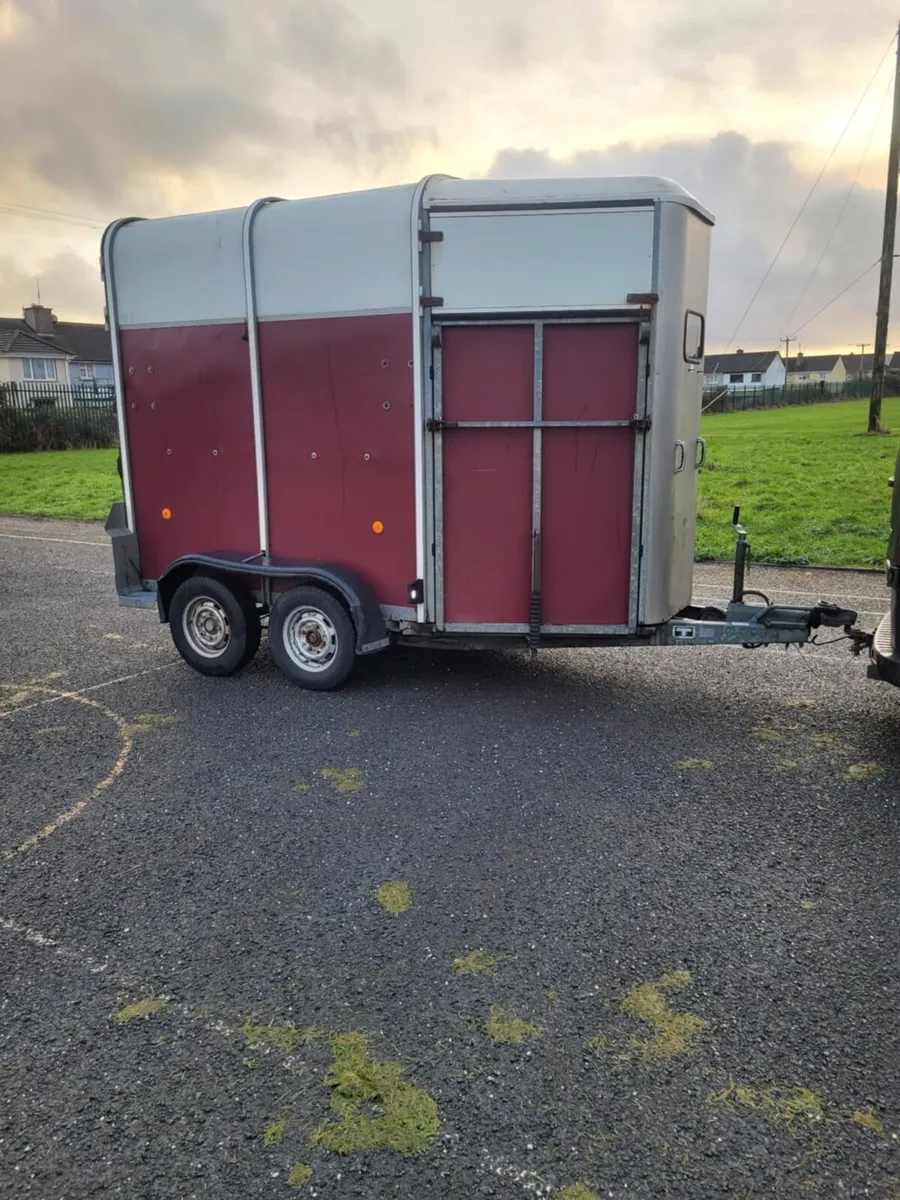 Ifor Williams 505 horse with aluminium floor - Image 3