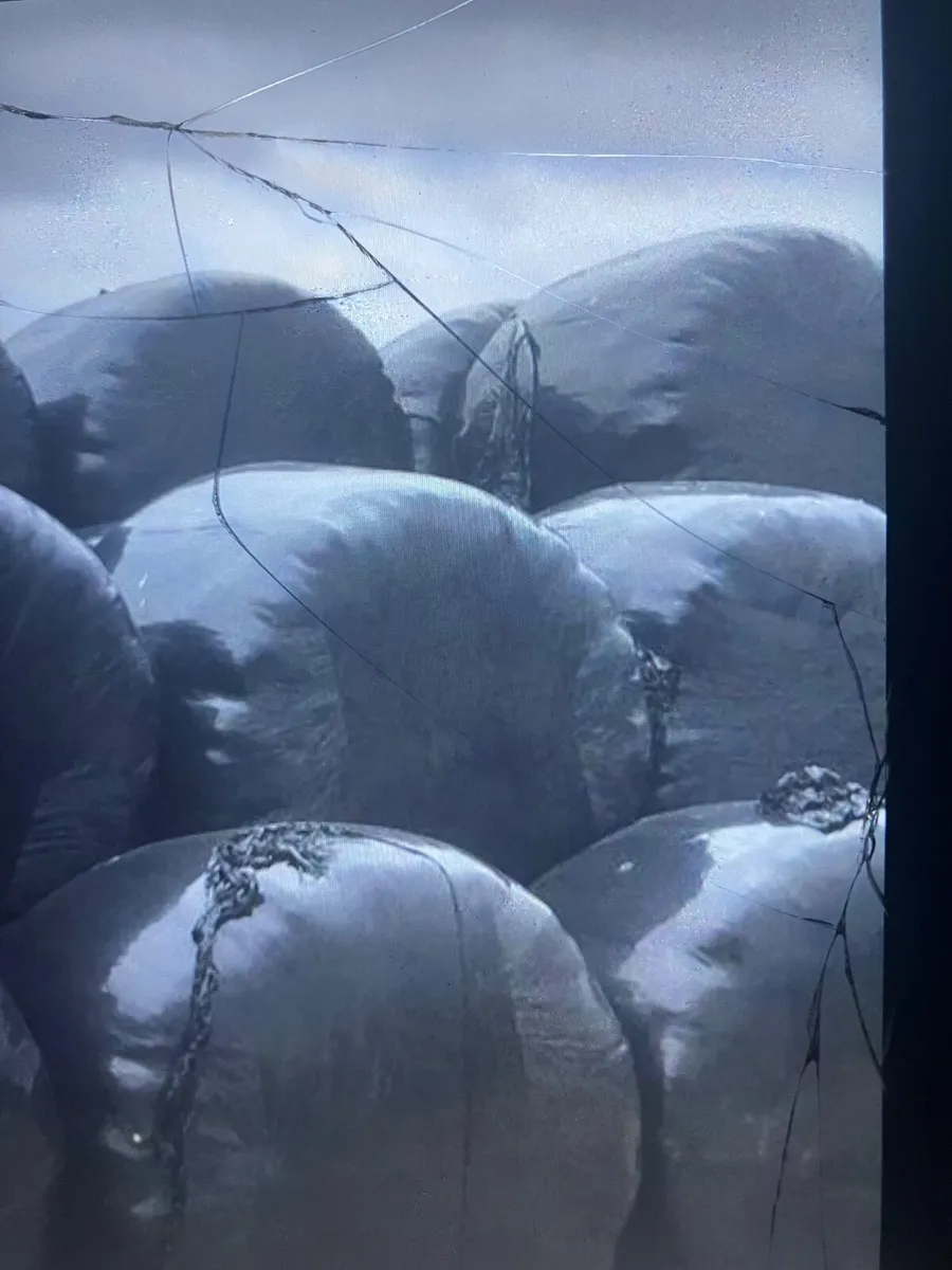 Silage bales - Image 1