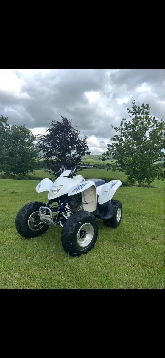 Suzuki LTZ 250 - Image 3