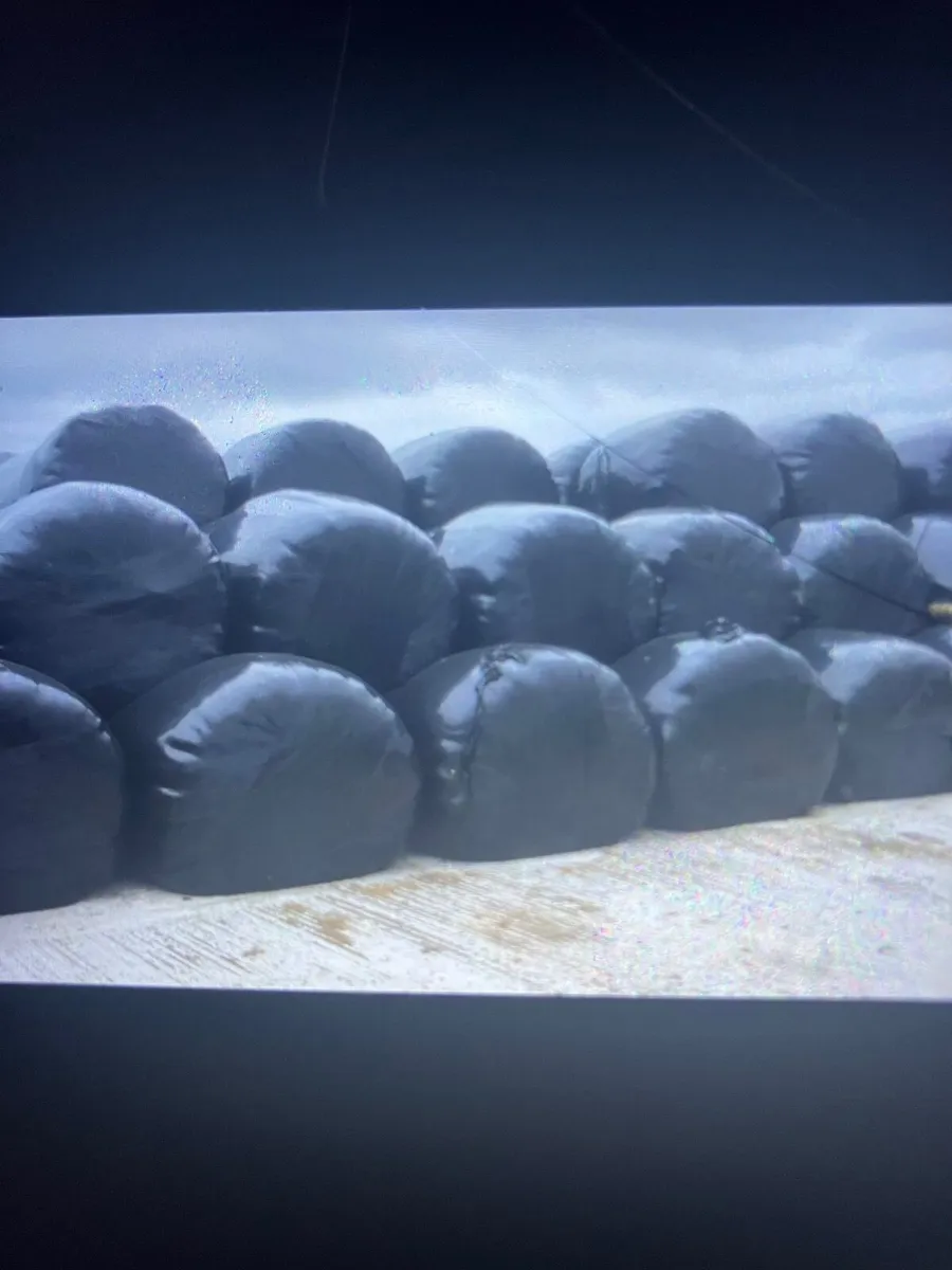 Silage bales - Image 2