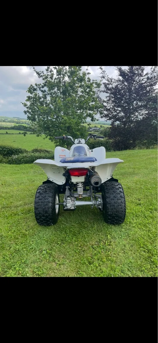 Suzuki LTZ 250 - Image 2