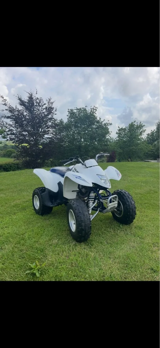 Suzuki LTZ 250 - Image 4