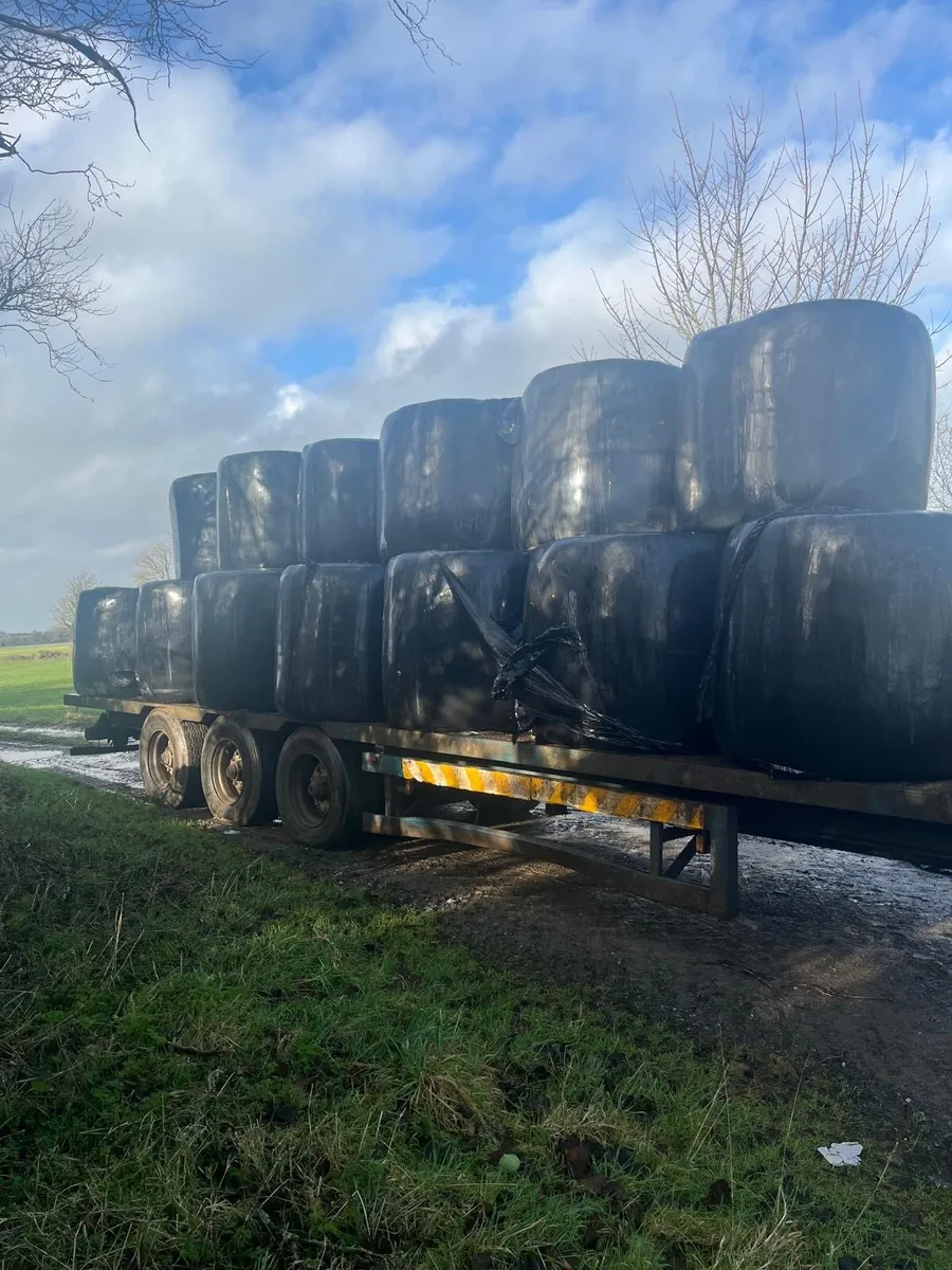 Bales of Silage