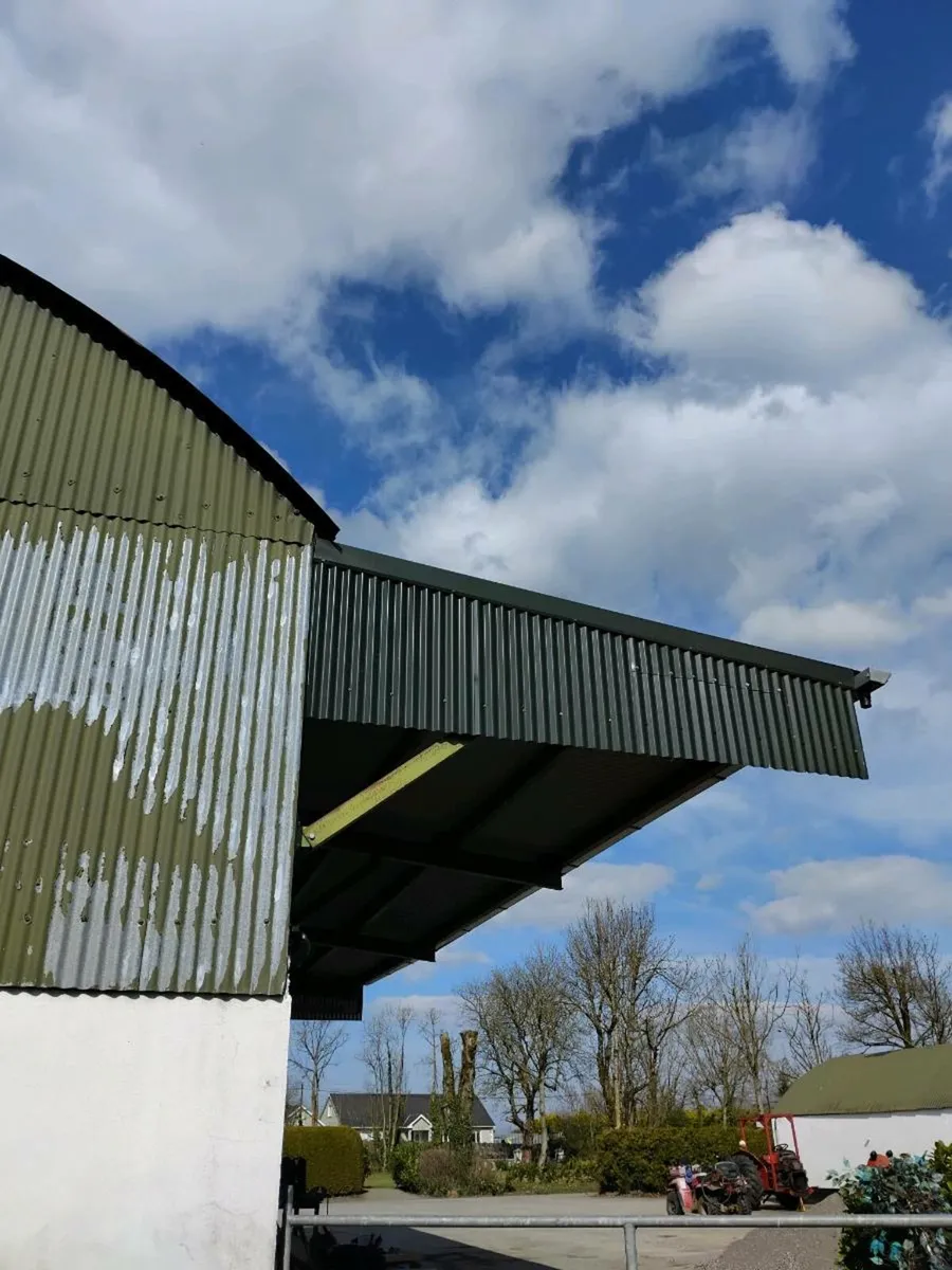 Shed canopy - Image 1