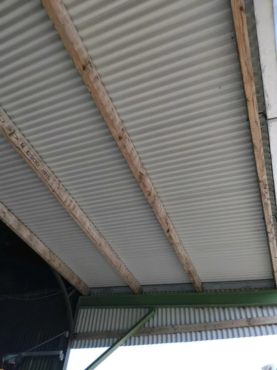 Shed canopy - Image 2