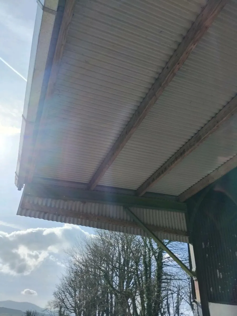 Shed canopy - Image 3