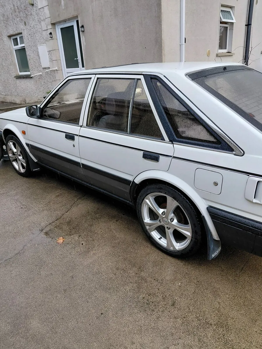 Vintage Bluebird - Image 4