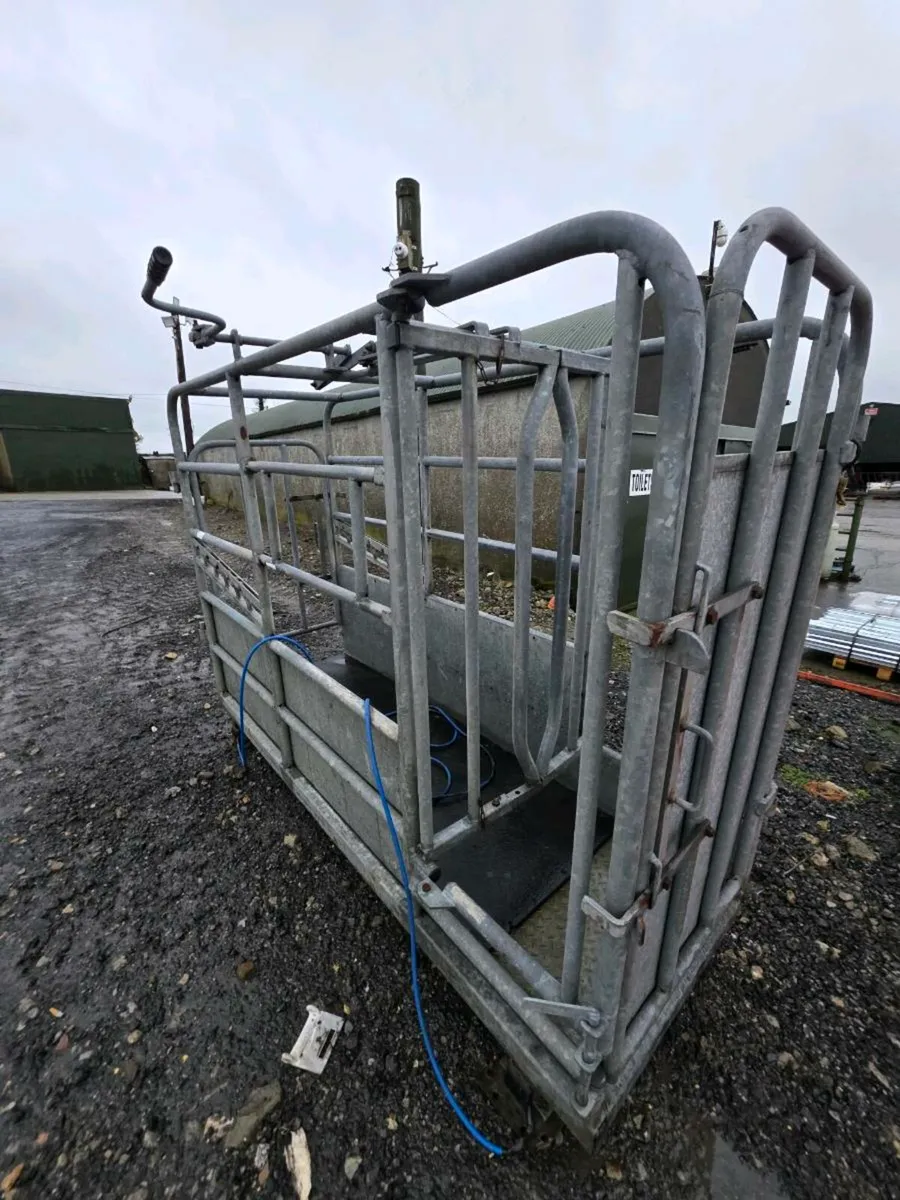 Clearance Auction 4th February - Image 1