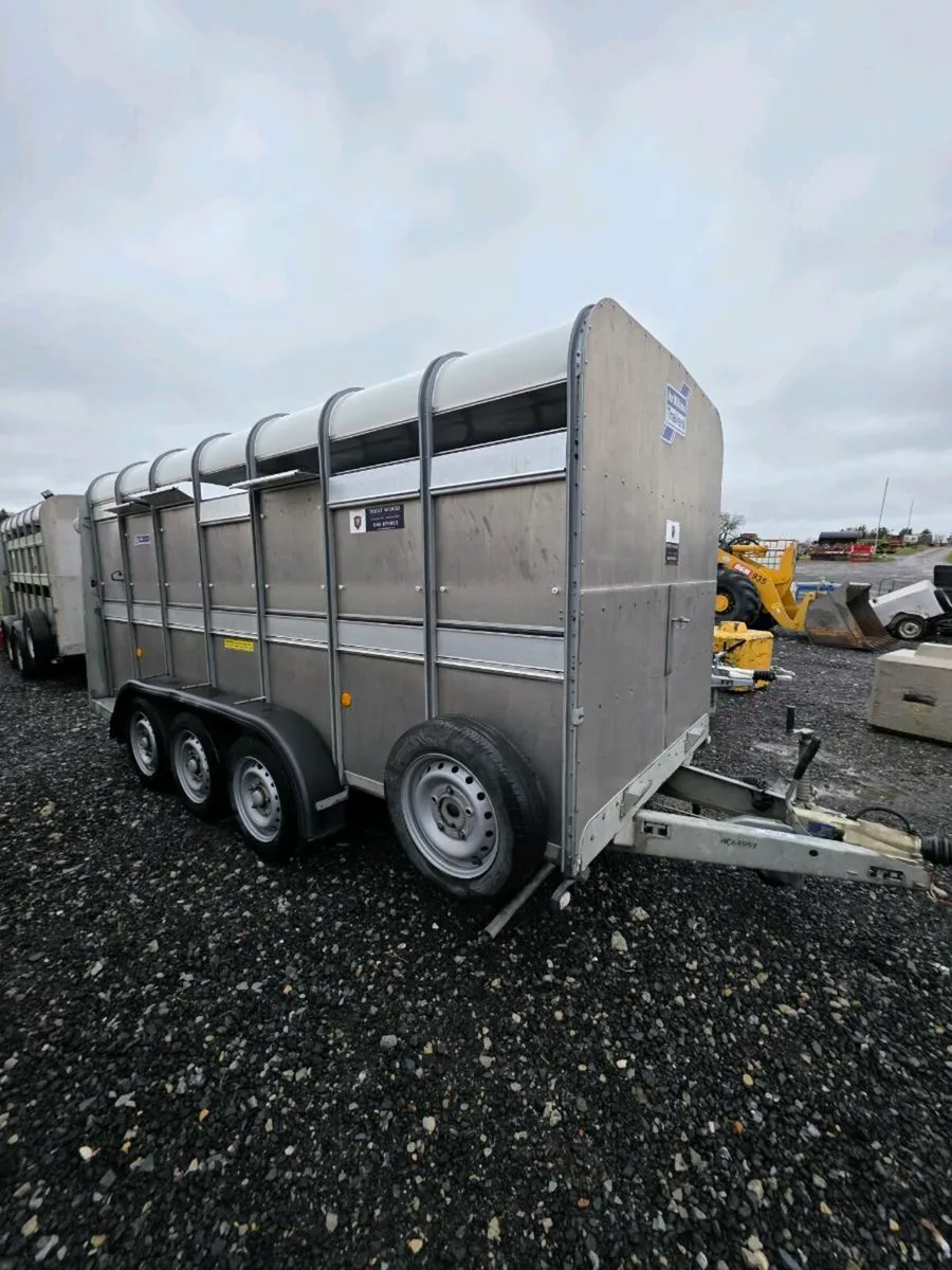 Clearance Auction 4th February - Image 3