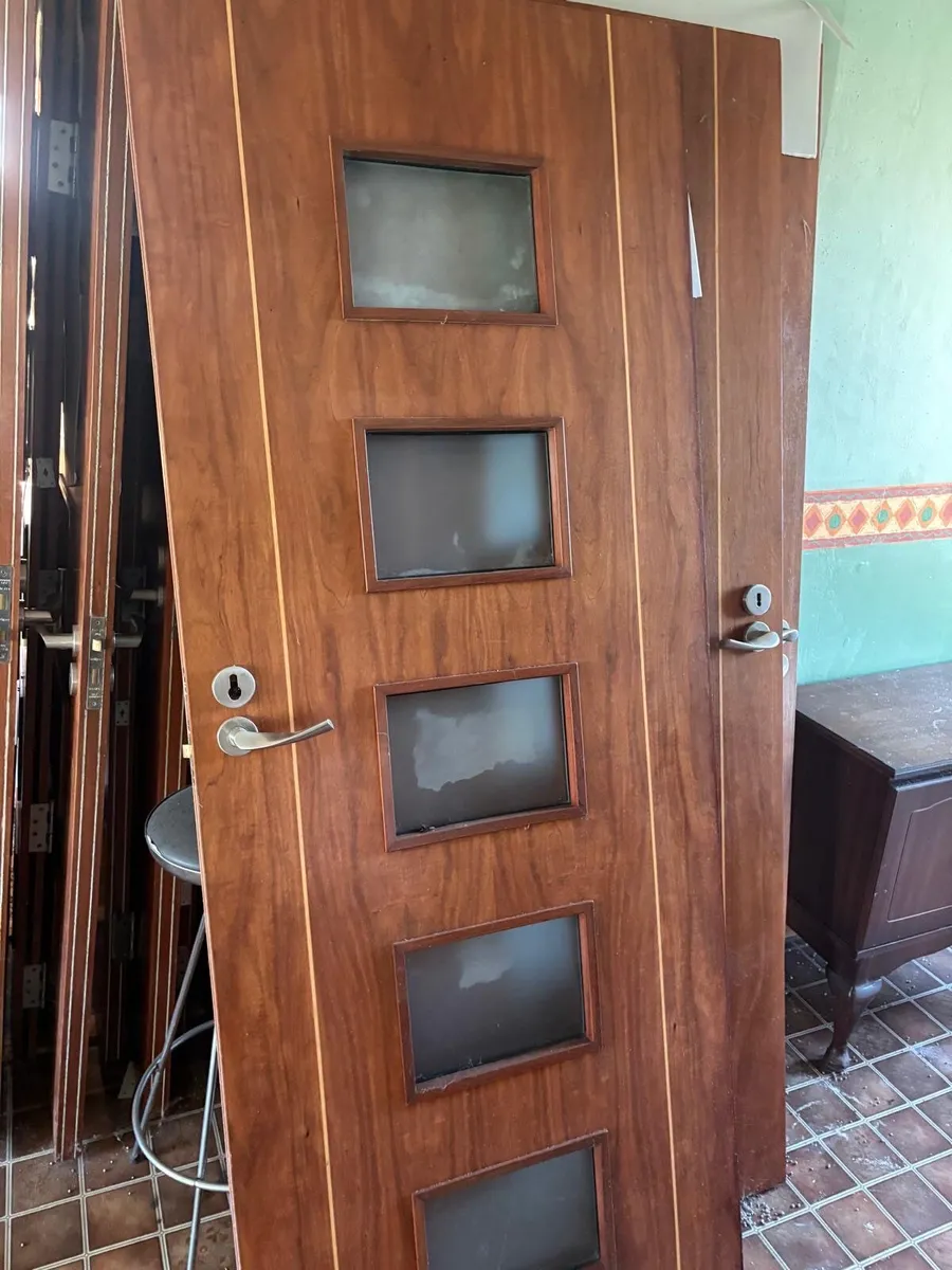 Mahogany veneered doors - Image 4