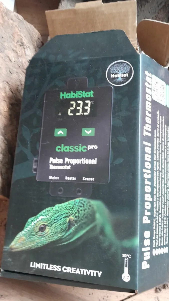 Russian/Horsefield Tortises - Image 3