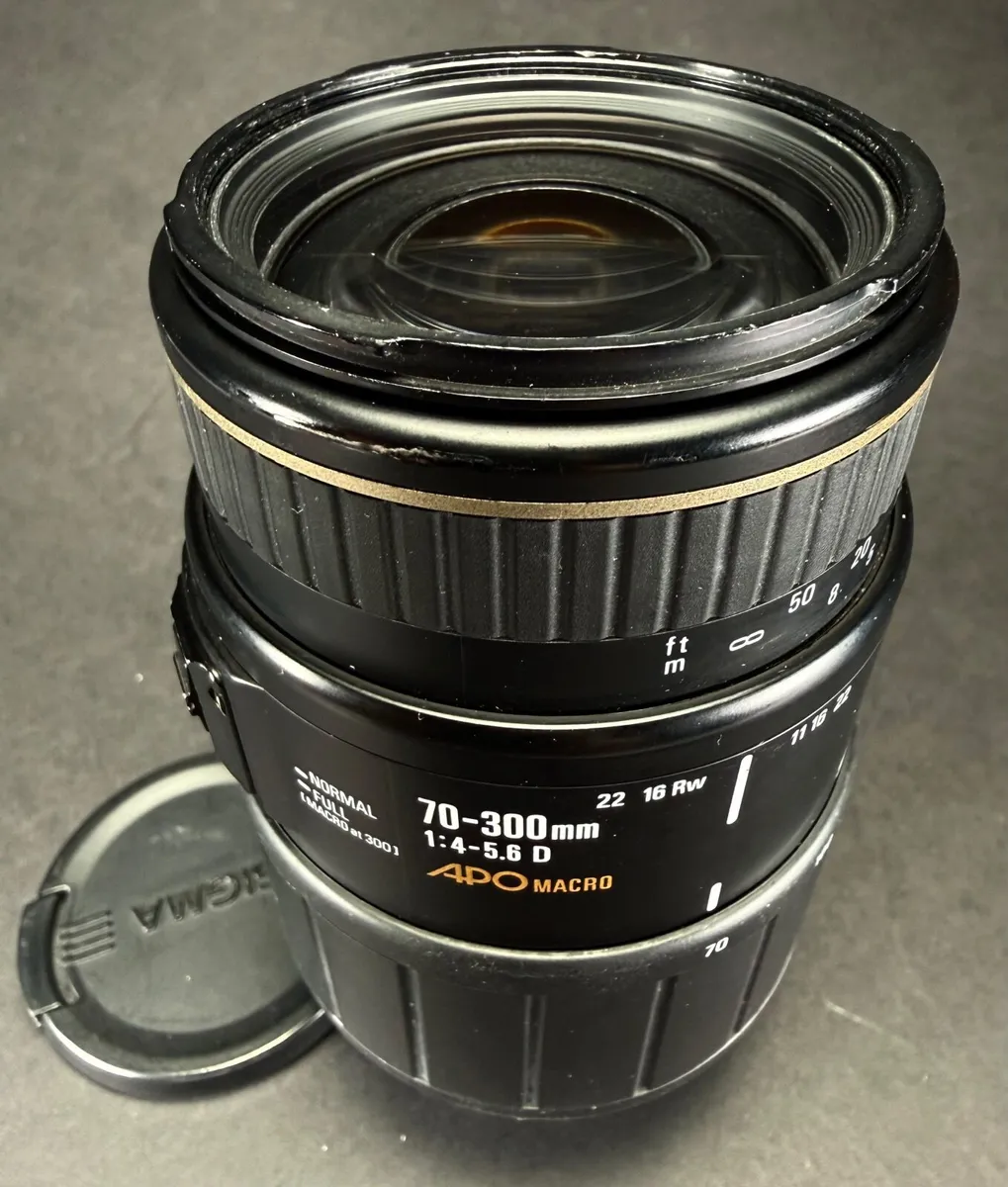 Nikon F SIGMA Apo 70-300mm F4-5.6 D APO MACRO - Image 2
