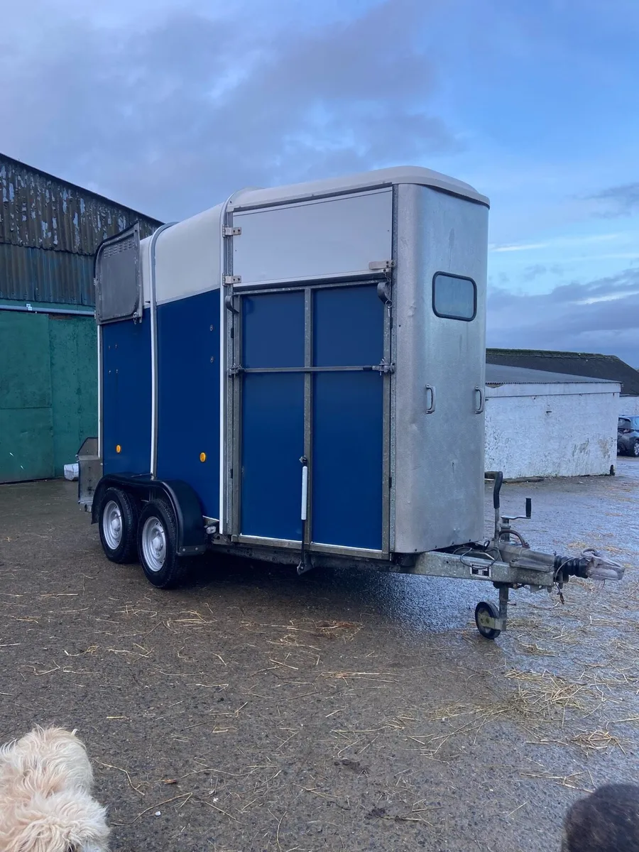 Ifor Williams 505 - Image 1