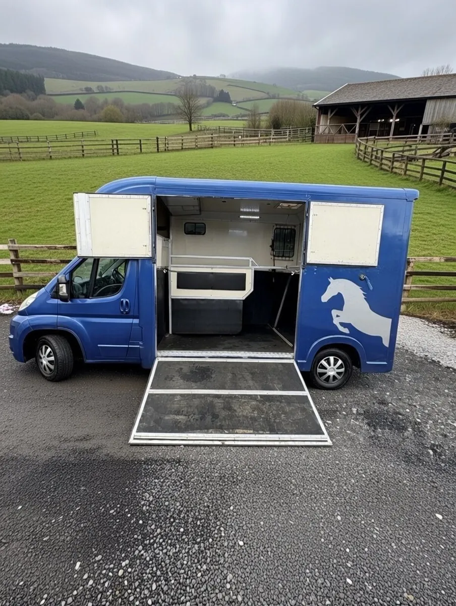 2009 Horse lorry one year’s test and tax - Image 3