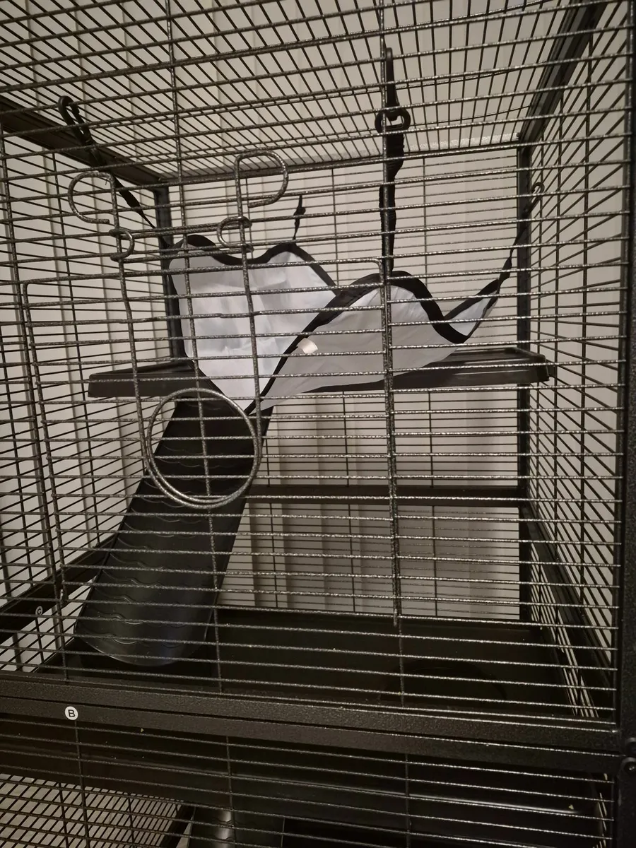 Animal cage - Image 4