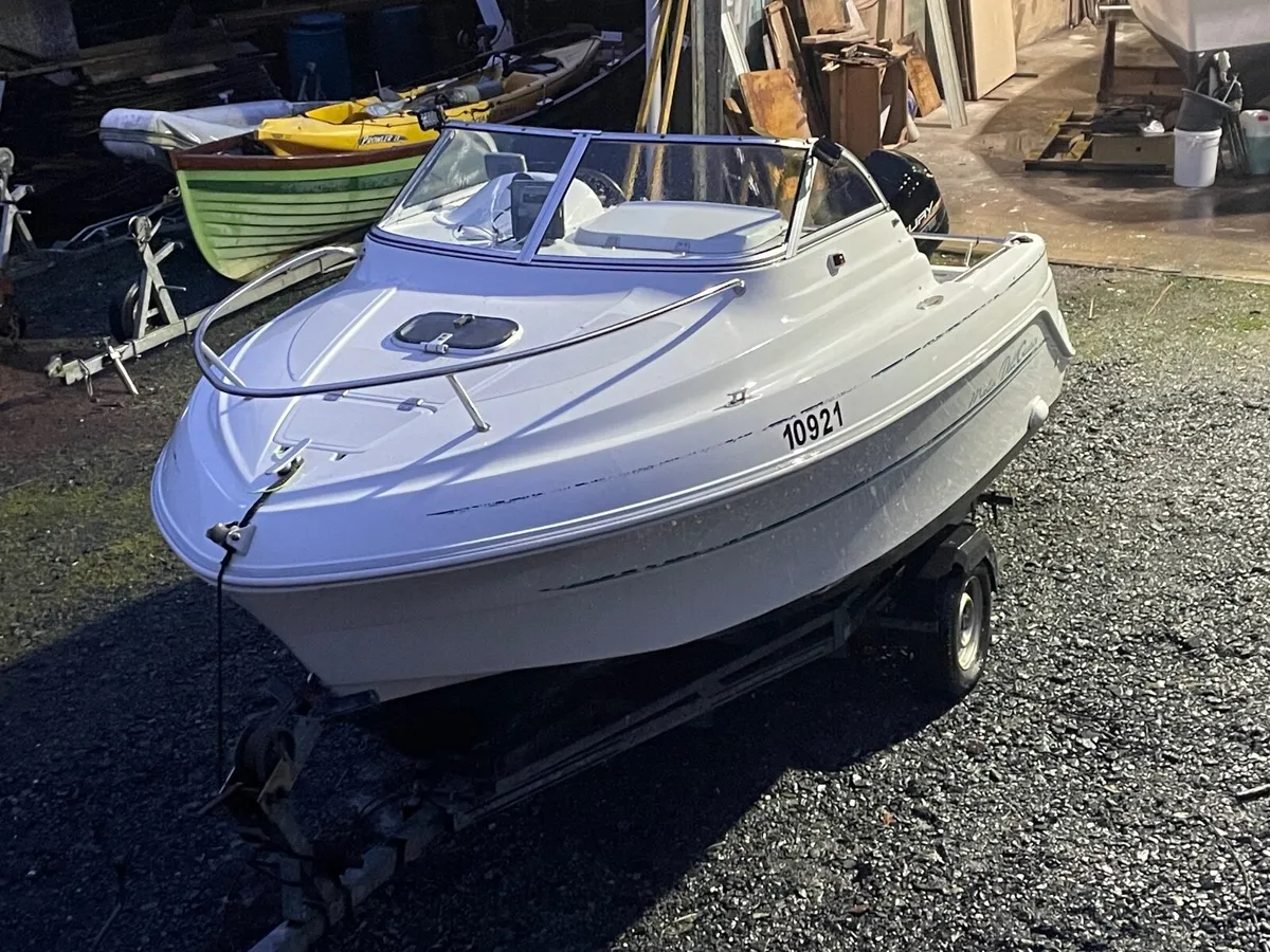 Quicksilver Dell Quay  marlin 5.20 - Image 1