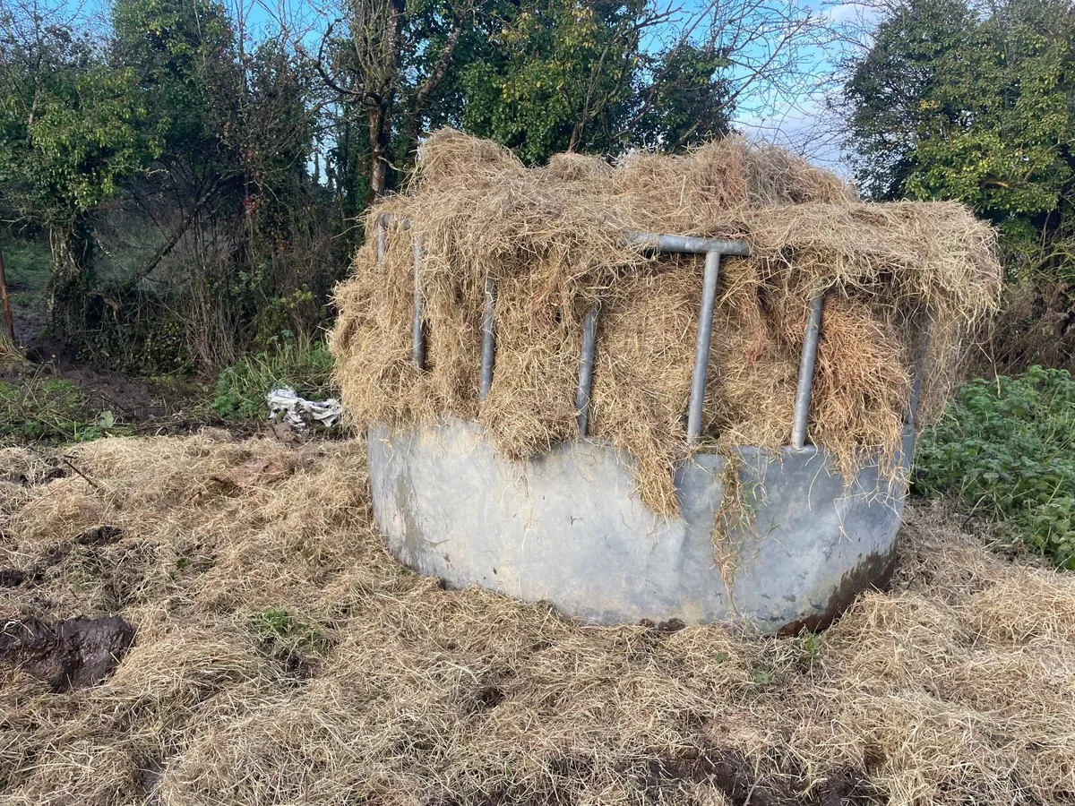 60 silage bales for sale - Image 2