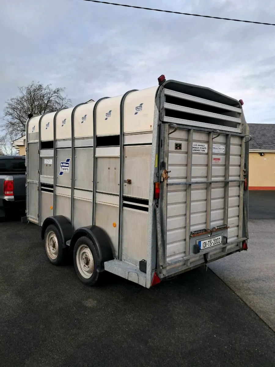 For Williams 12 by 6 Horse/stock trailer extra hig - Image 3