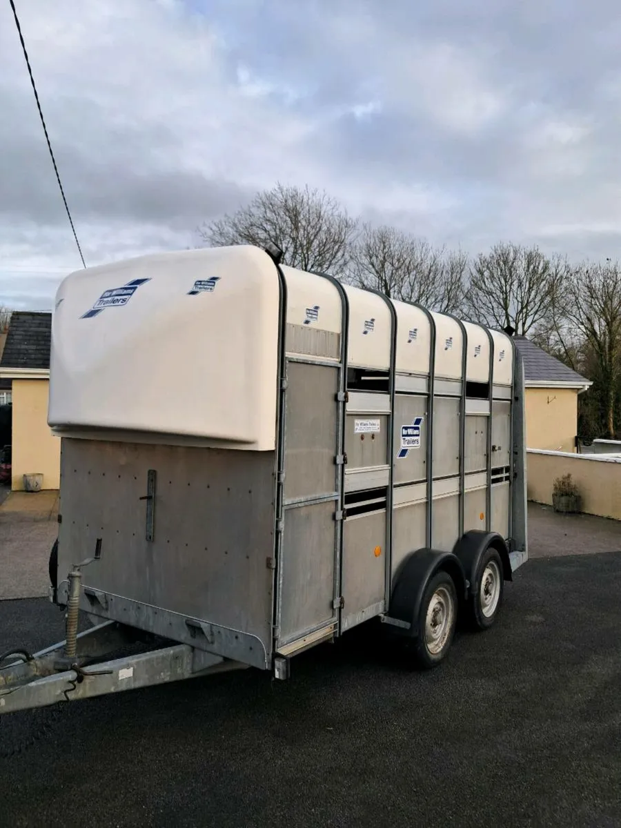 For Williams 12 by 6 Horse/stock trailer extra hig - Image 1