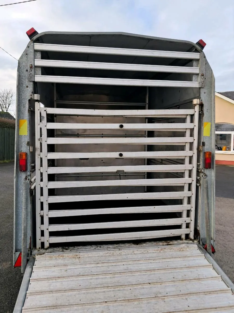 For Williams 12 by 6 Horse/stock trailer extra hig - Image 4