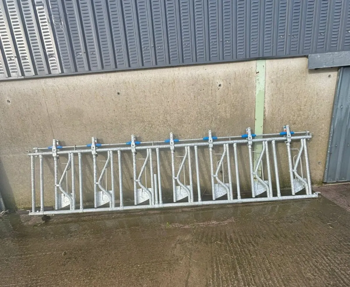 Headlock fedding barrier & Calving gate - Image 1